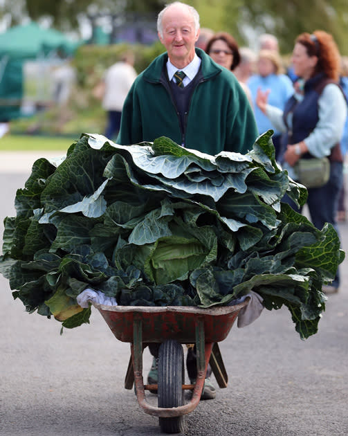 The Annual Harrogate Autumn Flower Show