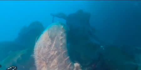 A still image captured from a video footage from the research vessel Martin Bergmann of the Arctic Research Foundation shows what they say is the wreckage of the of HMS Terror in the bottom of Terror Bay in Canada on September 3, 2016. Courtesy Arctic Research Foundation/Handout via REUTERS
