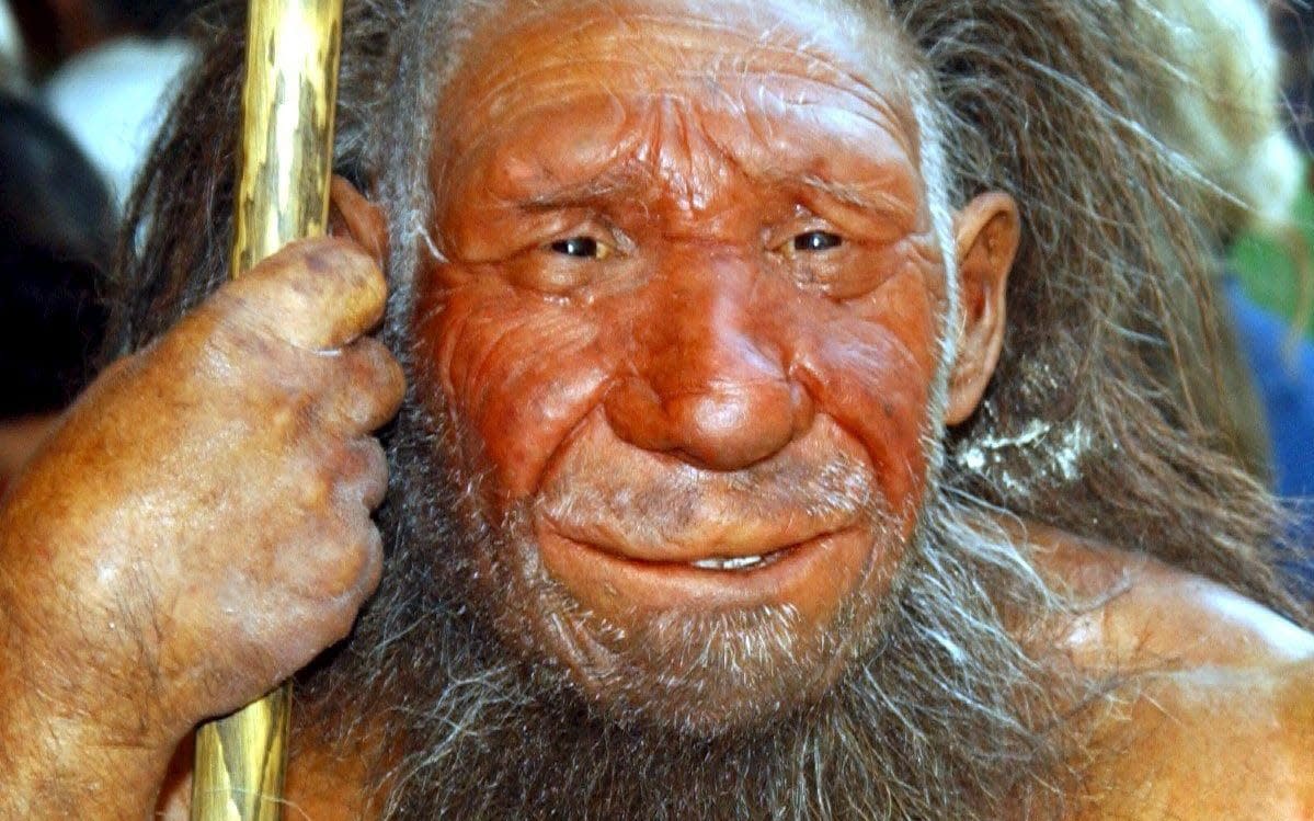 A recreation of a Neanderthal man at the Neanderthal Museum in Mettmann, Germany - EPA