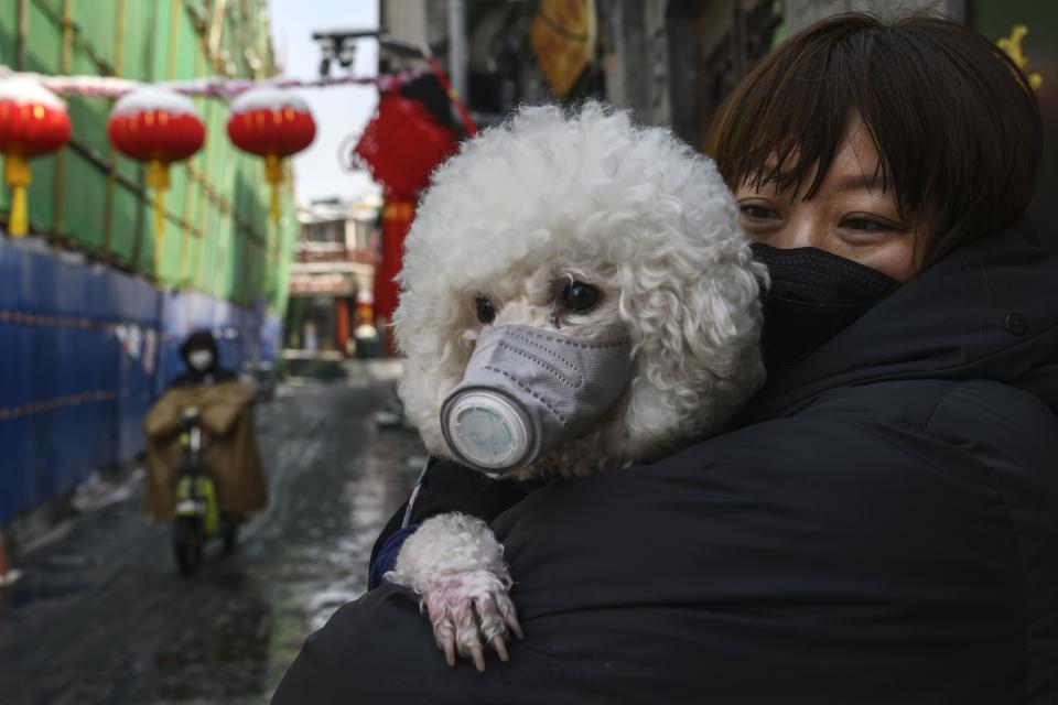 A dog wears a protective mask in Beijing, China.