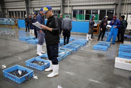 Buyers check quality of pufferfish before an early morning auction at Haedomari wholesale market in Shimonoseki, southern Japan November 13, 2018. Picture taken November 13, 2018. REUTERS/Mari Saito