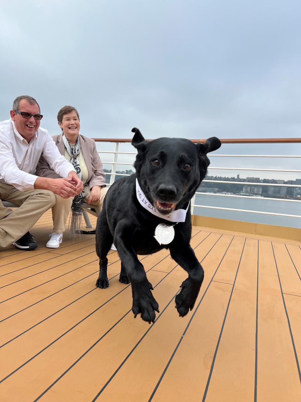 Service Dog Receive Medal for Spending 700 Nights at Sea with Owner