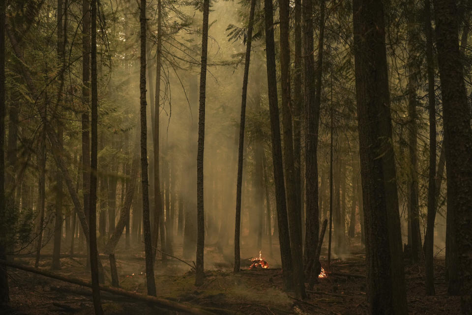 Hot spots from the Lower East Adams Lake wildfire burn in Scotch Creek, British Columbia, on Sunday, Aug. 20, 2023. (Darryl Dyck/The Canadian Press via AP)