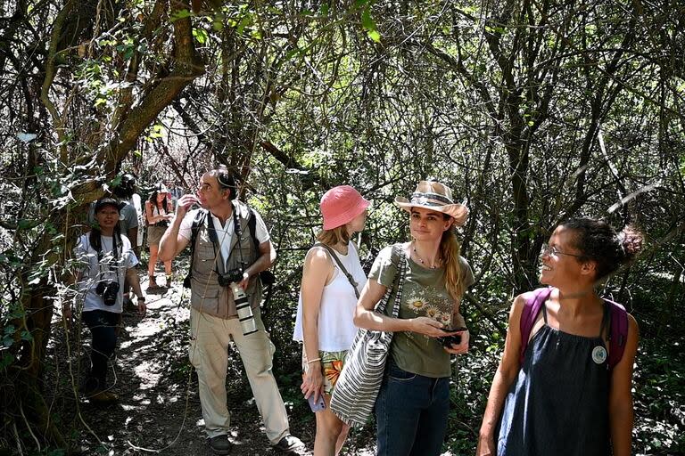 La Reserva ecológica de Costanera sur es uno de los espacios más populares para hacer excursiones al aire libre en la capital