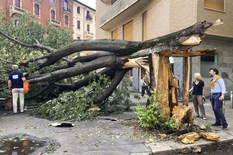 Varias personas observan un árbol caído tras una fuerte tormenta, en Milán, Italia, el martes 25 de julio de 2023.
