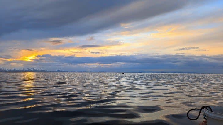 <span class="article__caption">A rare break in the rain yielded a spectacular sunset. (Photo: Wes Siler)</span>