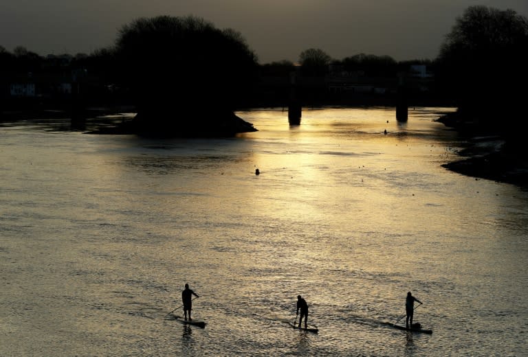 Activists work from sunrise to collect rubbish on the Thames