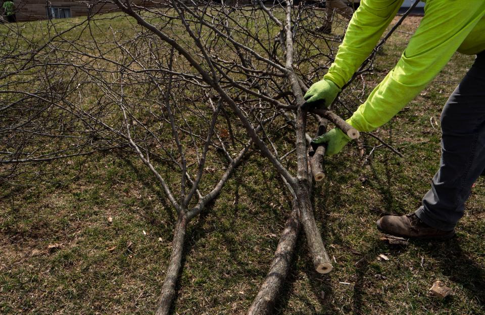 Employees of Wright Tree Service work on clearing branches and trees near power lines  on Thursday, March. 17, 2022, at the 2100 block of Lawrence Ave., in Indianapolis.