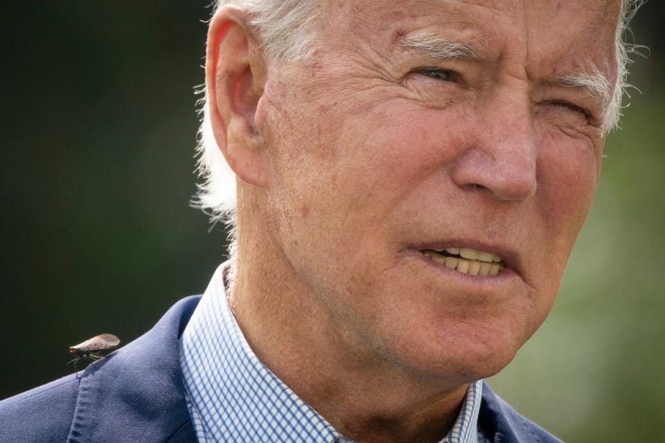 Una mosca linterna con manchas se posa sobre el hombro del presidente Joe Biden, el 14 de septiembre de 2020 (Getty Images)