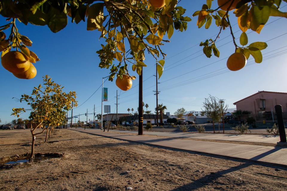 Coachella installed hundreds of trees and plants between Ninth Street and Leoco Lane.