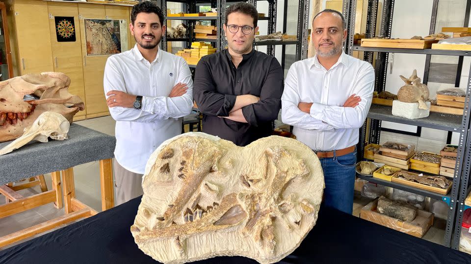 Paleontologists Abdullah Gohar, Mohamed Sameh and Hesham Sallam (from left) with the fossilized remains of T. rayanensis at Egypt's Mansoura University Vertebrate Paleontology Center. - Hesham Sallam/Mansoura University Vertebrate Paleontology Center