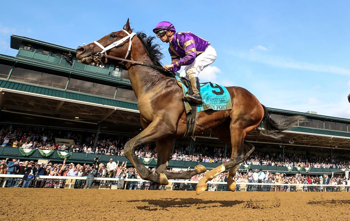 Tawny Port What to know about the 2022 Kentucky Derby horse