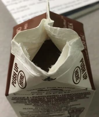 School milk that came in those always hard to open paper cartons: