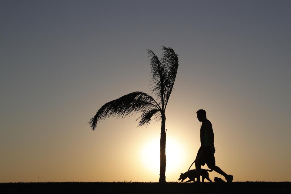 A man walks his dog as the sun sets in Asuncion, Paraguay, Saturday, Aug. 1, 2020, amid the new coronavirus pandemic. (AP Photo/Jorge Saenz)