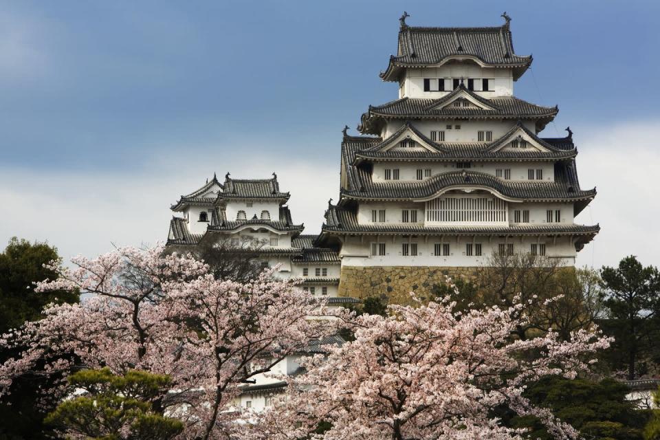 <p>Ubicado cerca de Osaka y Kobe, Himeji es un típico castillo feudal japonés. Se le llama el castillo de la garza blanca por su parecido a este ave cuando alza el vuelo.</p>