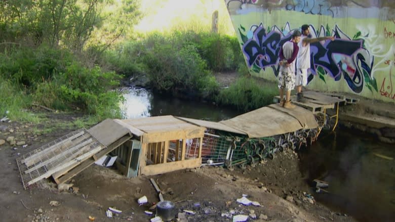 Meet the homeless man who built Abbotsford's 'amazing' shopping cart bridge