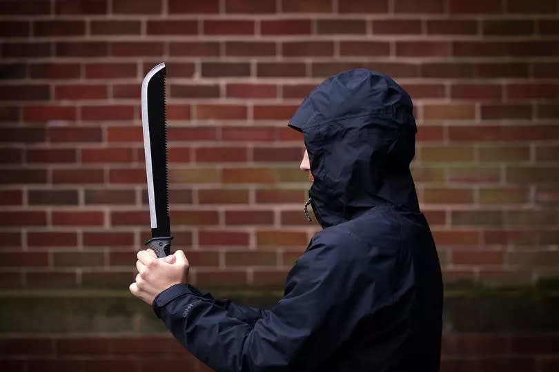 Deadly weapons such as this machete are being sold in shops around Greater Manchester