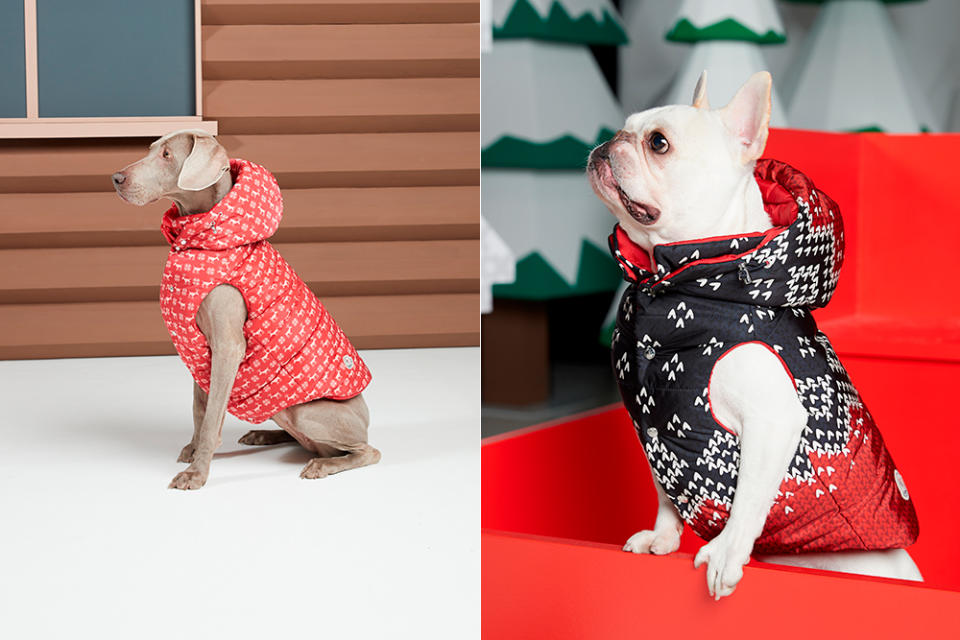 Moncler's new dog jackets are part of a collaboration with Poldo.