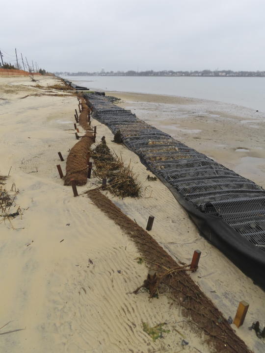 Logs of coconut husk known as coir sit on the bank of the Shark River in Neptune, N.J., Jan. 31, 2023, where the American Littoral Society is doing a shoreline restoration project incorporating coconut fibers. The material is being used in shoreline stabilization projects around the world. (AP Photo/Wayne Parry)