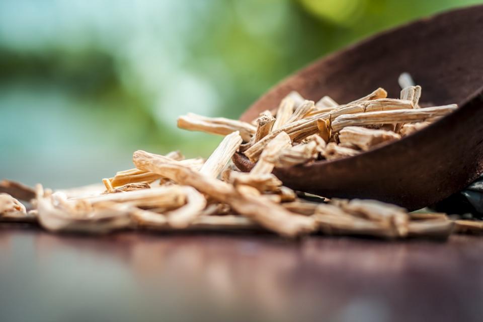 Ayurvedic herb satavari,Asparagus racemosus with its powder and root in a bowl on brown wooden surface in dark gothic colors for healthy female reproductive system, for an good reproductive system.