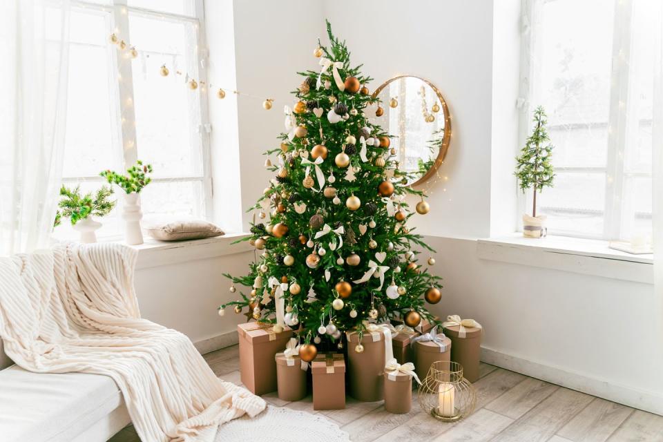 domestic living room decorated with christmas fir tree and holiday decor