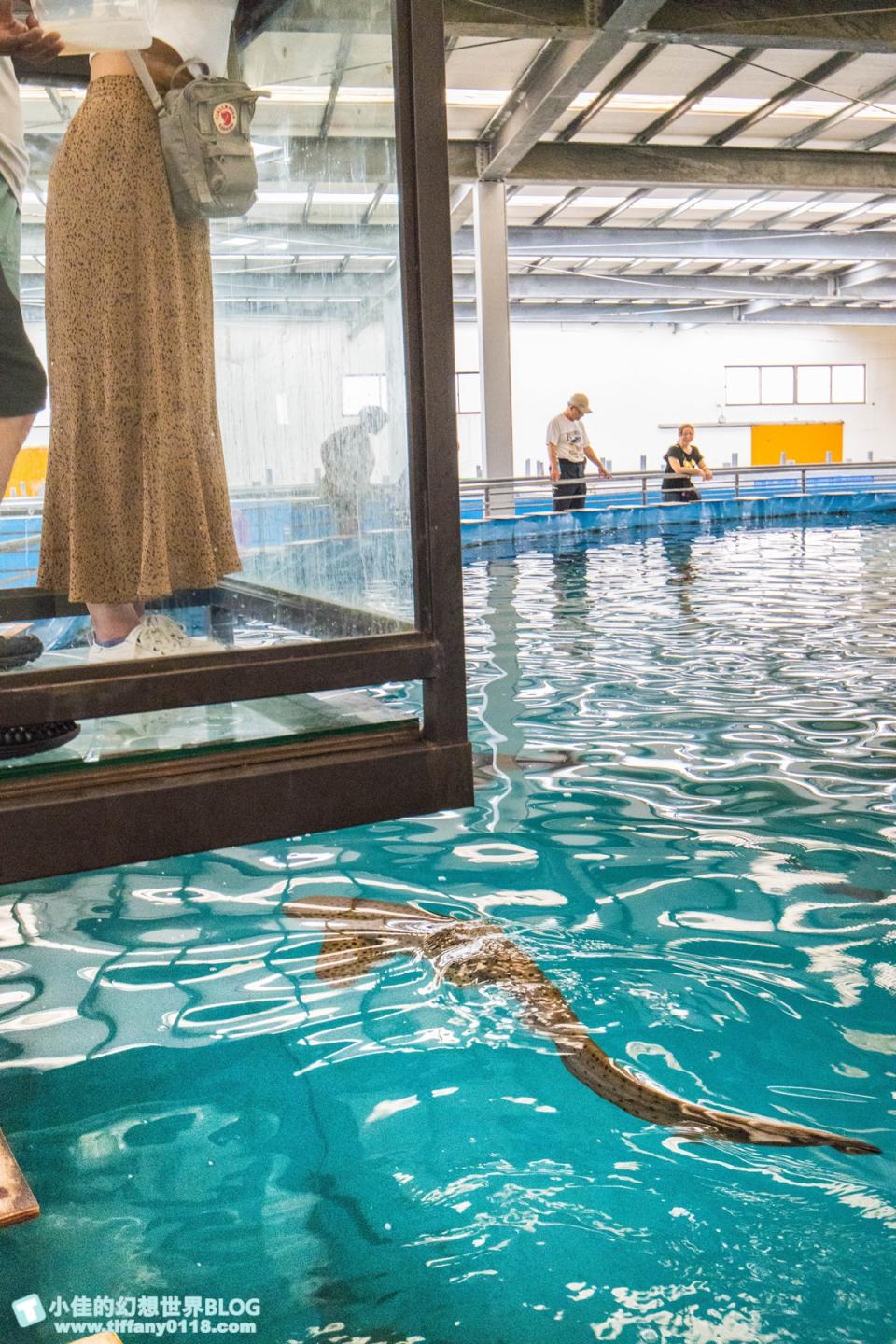 宜蘭｜金車生技水產養殖研發中心