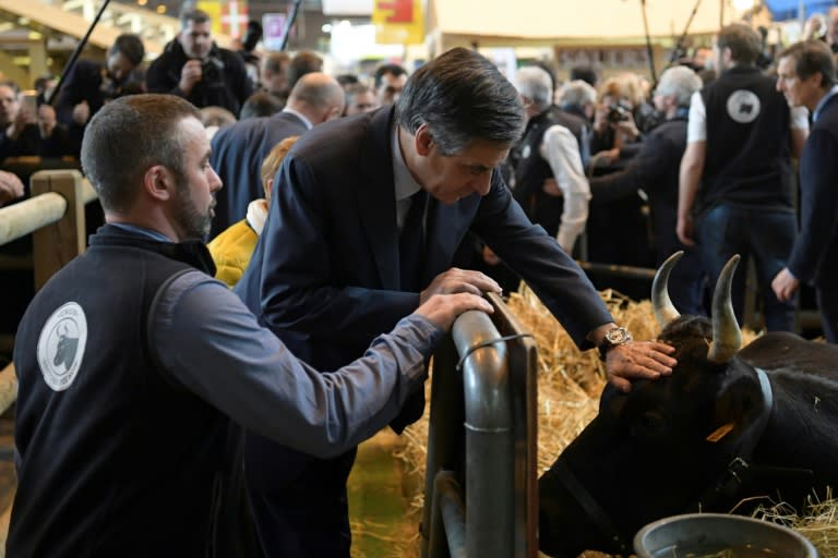 Francois Fillon pats a cow at the Paris International Agriculture Fair, hours after vowing to carry on his presidential campaign despite faces "fake job" charges