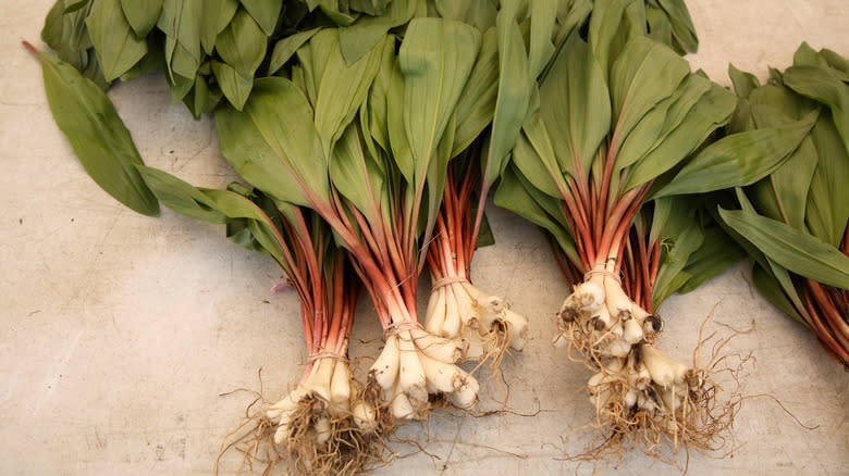 Fresh ramps