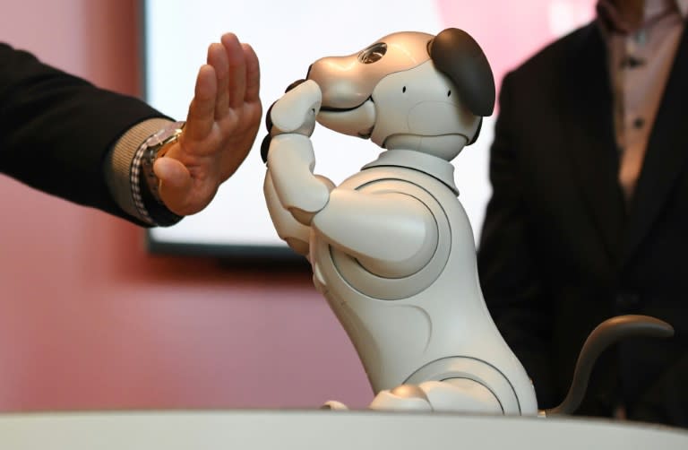 The Aibo dog comes with a hefty price tag of nearly $3,000