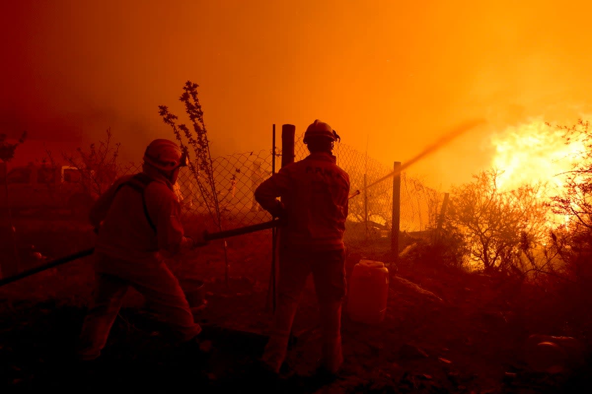 A total of 960 firefighters were working to combat the wildfires (AP)