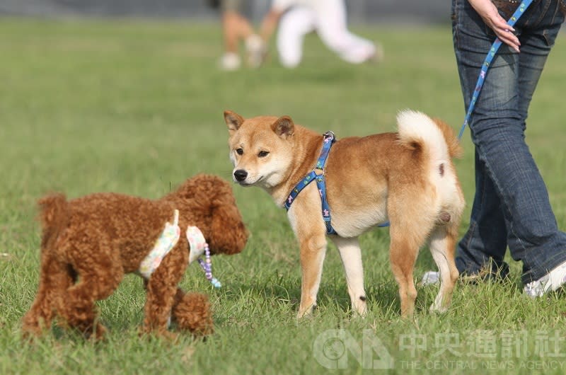 （中央社／資料照片）