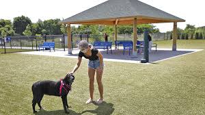 Faith Fitzpatrick plays with Sally at the Quincy Dog Park on Tuesday, July 21, 2020.