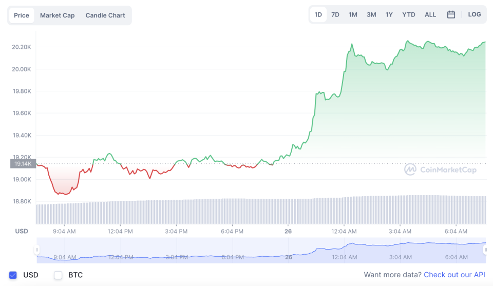 La variación del precio del Bitcoin en el último año. Fuente: coinmarketcap.com.