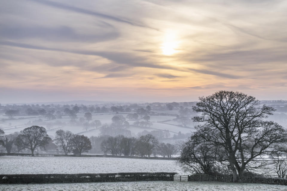 Trees and hedgerows silhouetted in the cold winter morning air.