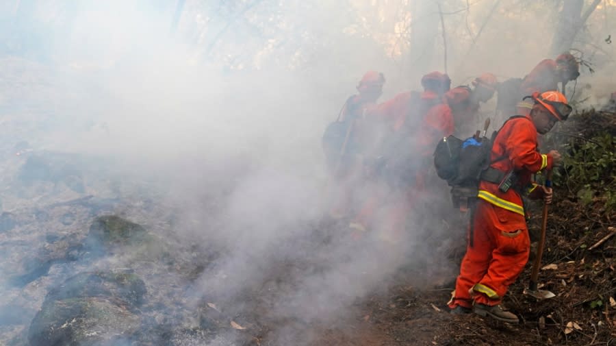 A California Dept. of Corrections fire crew cuts a containment line while fighting the CZU August Lightning Complex Fire on Friday, Aug. 21, 2020, in Bonny Doon, Calif. (AP Photo/Marcio Jose Sanchez)