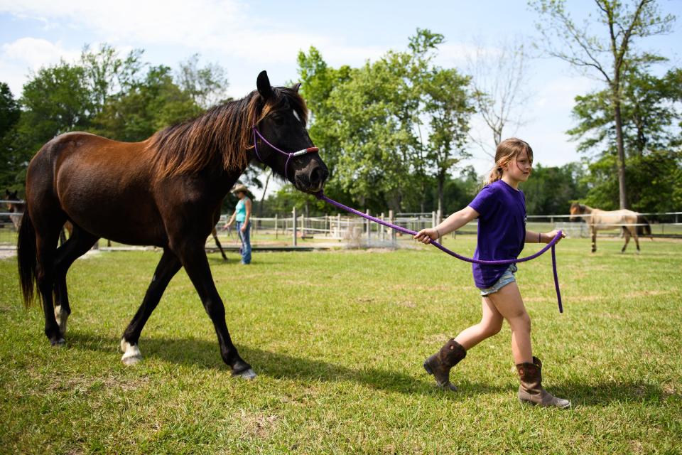 Annareese Hawkins walks Po Boy before taking him on a short ride at the family farm on April 15, 2021.