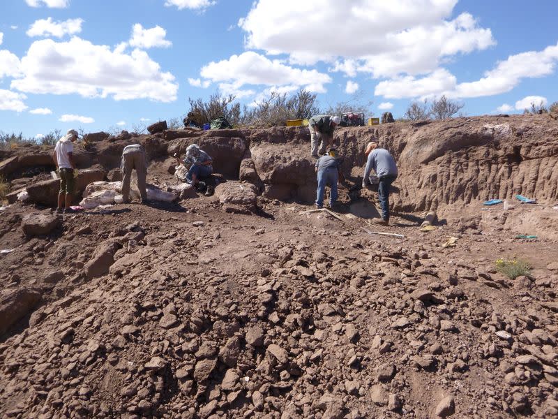 Excavation site in Argentina's northern Patagonia region
