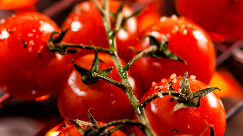 Charred cherry tomatoes on vine