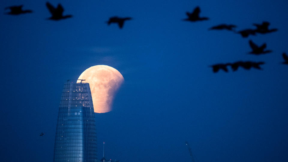 A super blue blood moon is seen behind Salesforce Tower during a partial lunar eclipse in San Francisco, California before dawn on January 31, 2018. Stargazers across large swathes of the globe -- from the streets of Los Angeles to the slopes of a smouldering Philippine volcano -- had the chance to witness a rare 