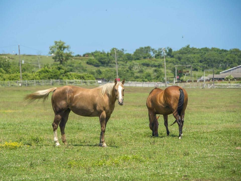 Andy Warhol’s Former Hamptons Estate Sells for $50M