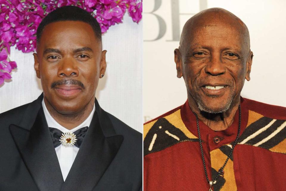 <p>Elizabeth Goodenough/Everett; Dee Cercone/Everett </p> Colman Domingo; Louis Gossett Jr.