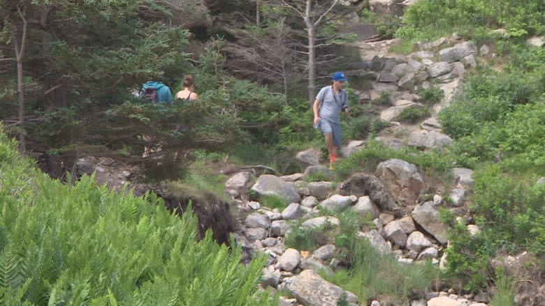 Duncans Cove overrun by 'exponential increase' in hikers, locals say