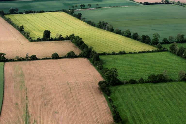 Les Etats de l'UE ont définitivement adopté lundi une législation-clé du Pacte vert qui impose la restauration des écosystèmes abîmés (JOEL SAGET)