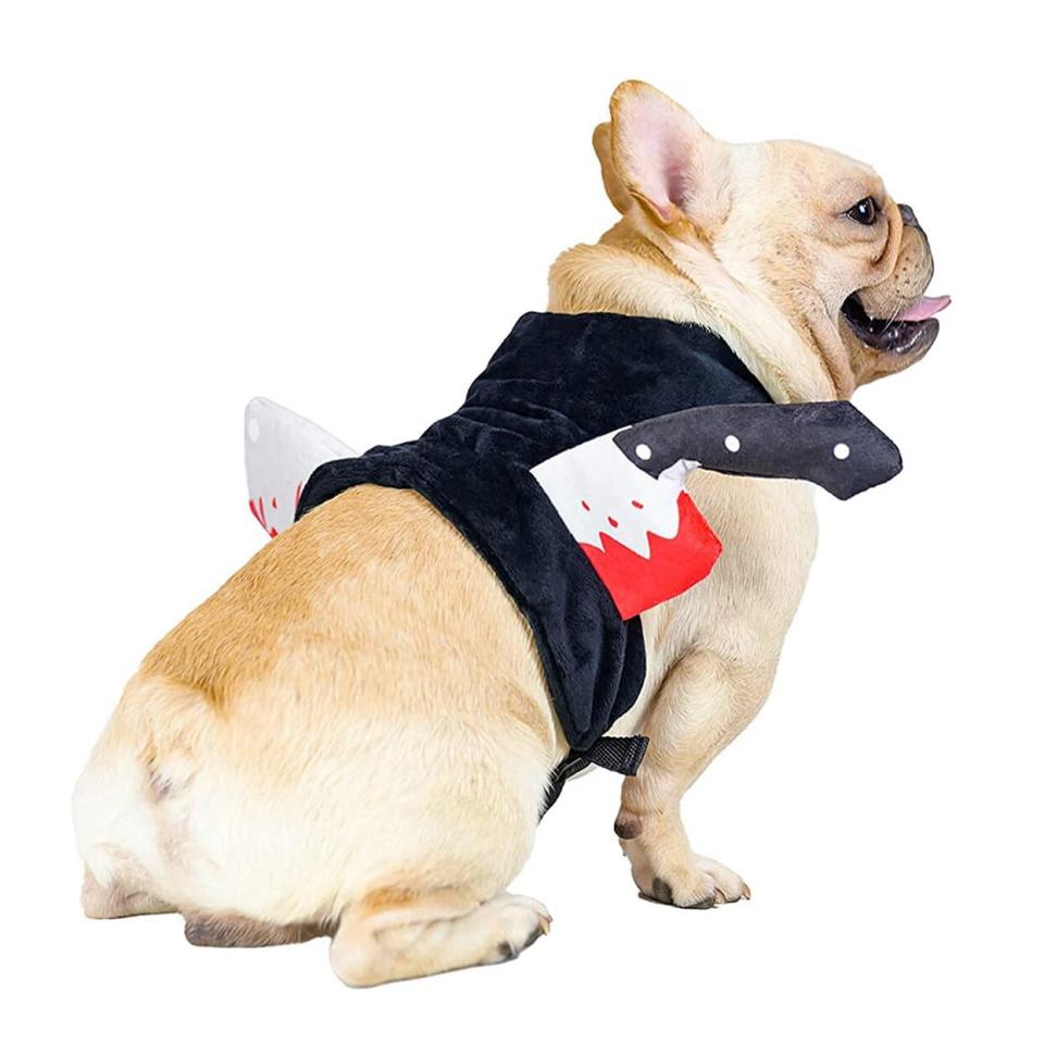 Dog wearing a PAWCHIE Dog Halloween Costumes & Dog Squeaky Toys Set on a white background