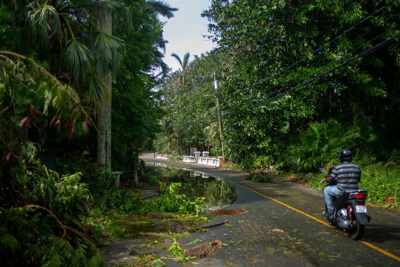 A motorcyclist drives past windblown foliage after Hurricane Fiona passed Bermuda