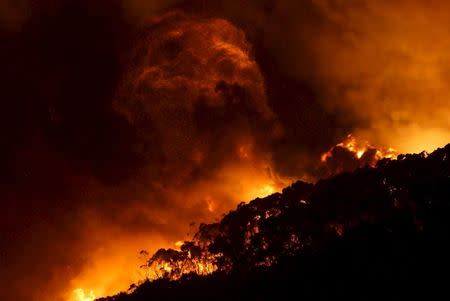 A bushfire burns at Wye River near Lorne, south of Melbourne, December 25, 2015. REUTERS/Keith Pakenham/AAP