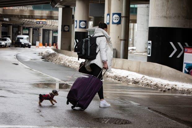 As of March 30, 219 tickets have been issued to air passengers entering Canada who refused to quarantine at a hotel, said the Public Health Agency of Canada. (Evan Mitsui/CBC - image credit)