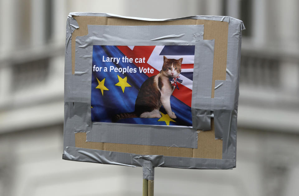 FILE - In this Saturday, March 23, 2019 file photo, demonstrators carry a poster with a picture of 10 Downing Street's cat Larry during a Peoples Vote anti-Brexit march in London. Monday, Feb. 15, 2021 marks the 10th anniversary of rescue cat Larry becoming Chief Mouser to the Cabinet Office in a bid to deal with a rat problem at 10 Downing Street. (AP Photo/Kirsty Wigglesworth, File)