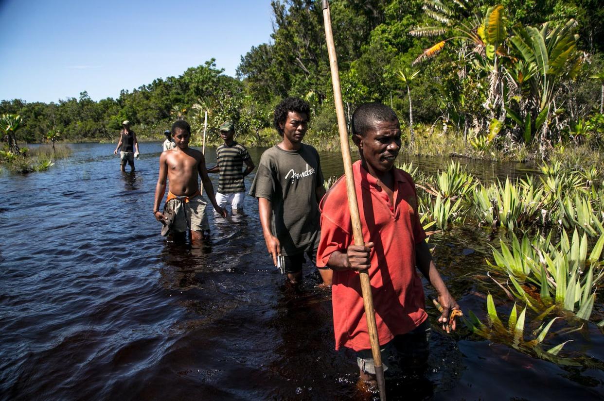 Urgent action is needed to protect Madagascar's forests. <a href="https://www.gettyimages.com/detail/news-photo/forest-guides-armed-with-paddles-or-bows-and-arrows-patrol-news-photo/1137862621?phrase=madagascar%20forests&adppopup=true" rel="nofollow noopener" target="_blank" data-ylk="slk:Rijasolo/AFP via Getty Images;elm:context_link;itc:0;sec:content-canvas" class="link ">Rijasolo/AFP via Getty Images</a>