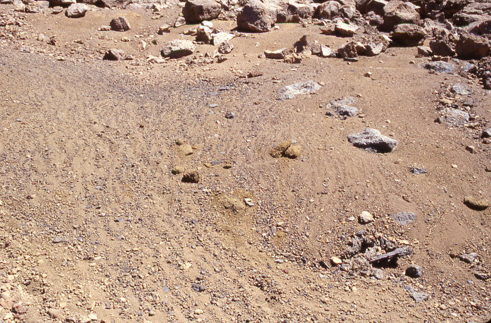 Rock stripes discovered on Mars look shockingly like those found on Earth's Mauna Kea volcano in Hawaii (pictured here). <cite>Washington University in St. Louis/NASA</cite>